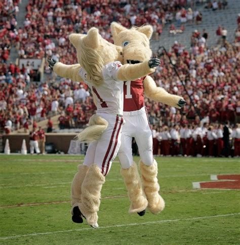 Boomer Sooner Mascot: Bringing Luck and Victory to OU Athletics